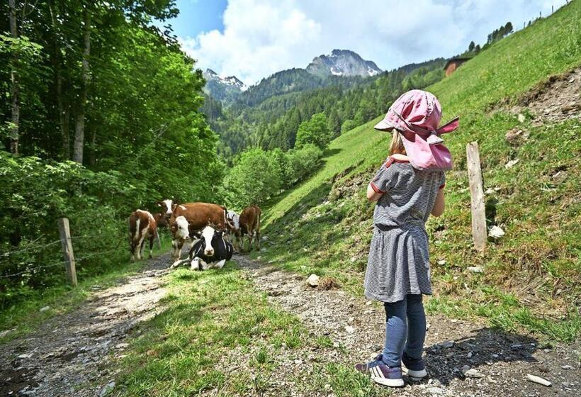 Apartamento 1 Quarto, Skihaus Bergheimat   Apartment Zur Piste   Selbstversorgung Oder Ums Eck Gibt Es Ein Gutes Frühstück