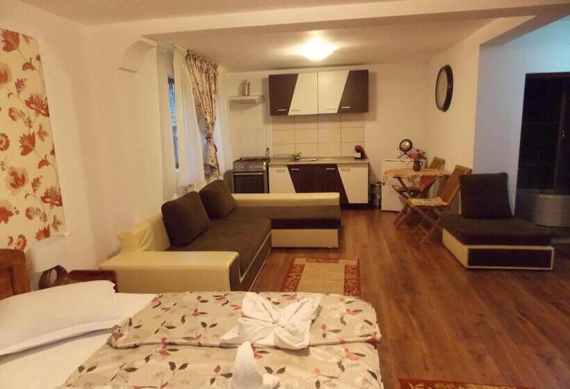 标准工作室, Pensiunea Portas Resort