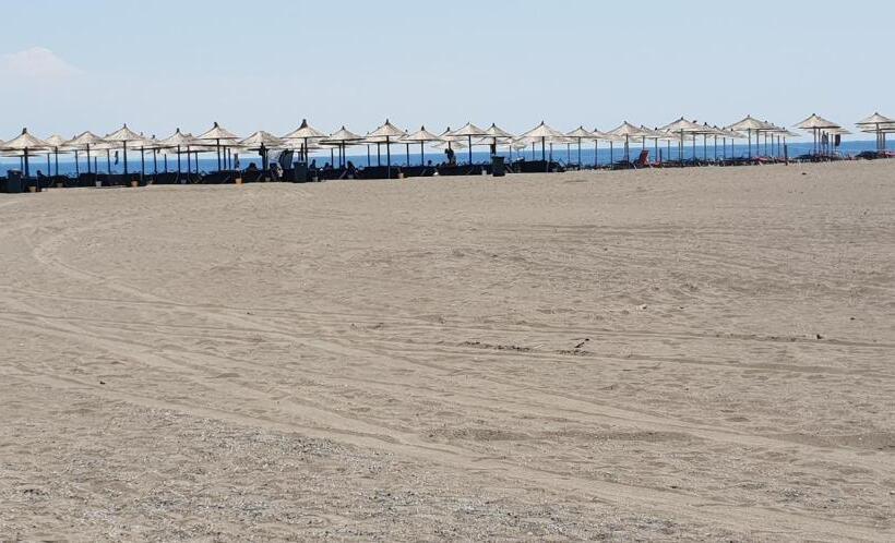 غرفة قياسية مزوَّدة بشُرفة, Brian