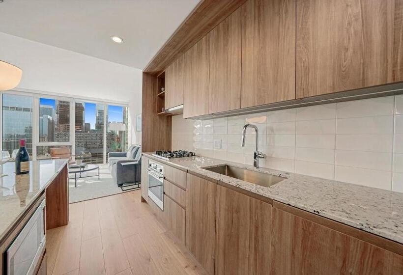 סוויטה דלוקס, Level Chicago River North