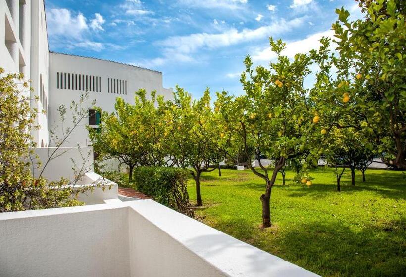 带露台的标准房间, Torre Oliva