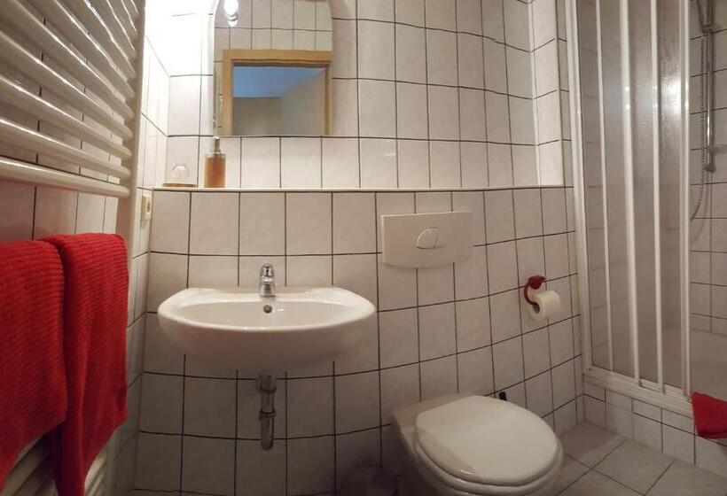 Одноместный Номер с Террасой, Gästehaus Stadtschaenke