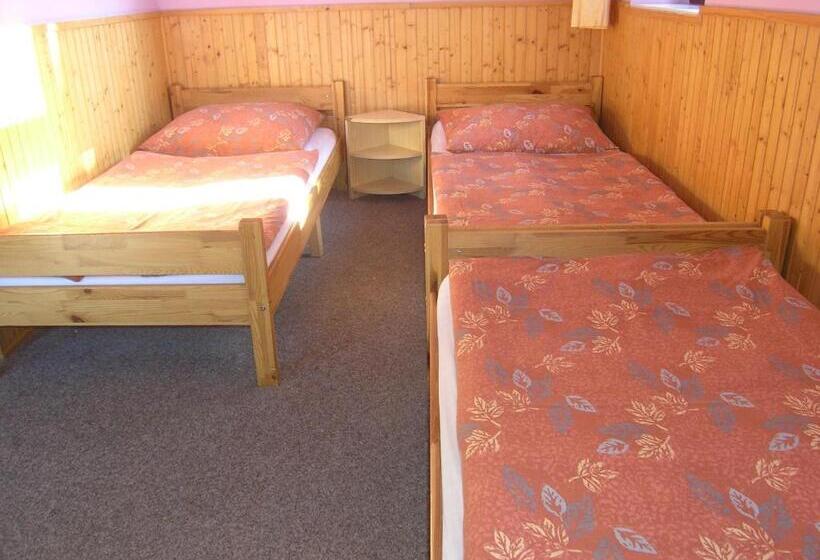 Номер Стандарт Трехместный, Penzion Kozel Herlíkovice Krkonoše