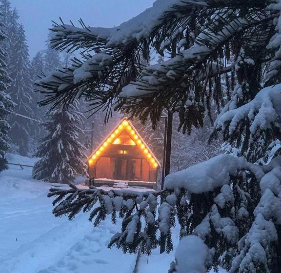 בית, חדר שינה 1, Zustrizh U Leva