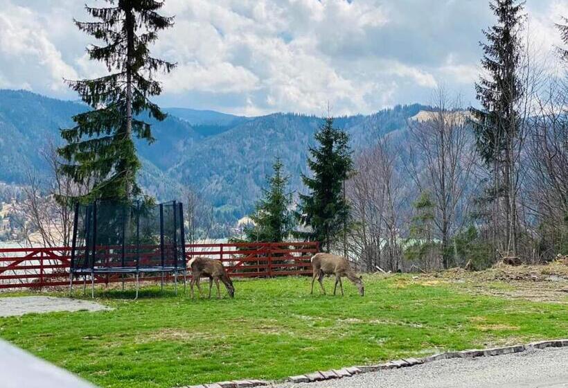 اتاق استاندارد سه نفره, Pensiunea Paradisul Naturii