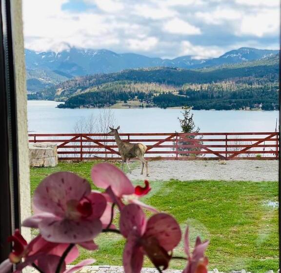 اتاق استاندارد, Pensiunea Paradisul Naturii