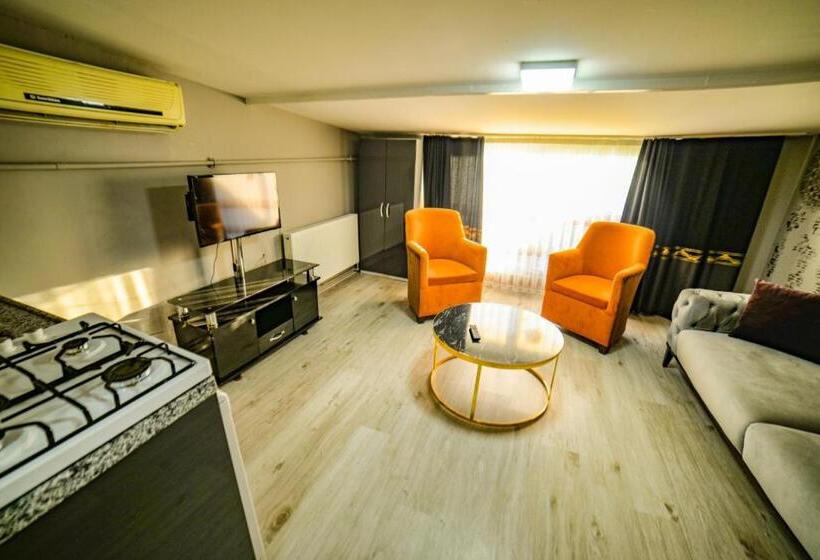 اتاق استاندارد, Suit Travel