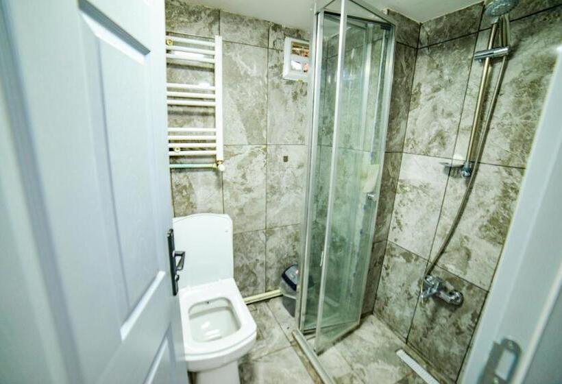 اتاق استاندارد, Suit Travel