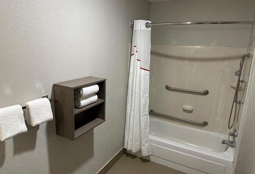 Suite, Red Roof Inn Auburn Hills