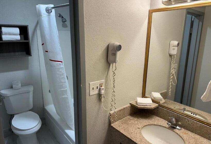 Suite, Red Roof Inn Auburn Hills