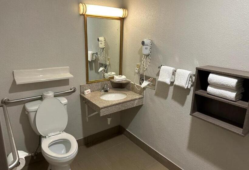 Superior Kamer Aangepast voor Gehandicapten, Red Roof Inn Auburn Hills