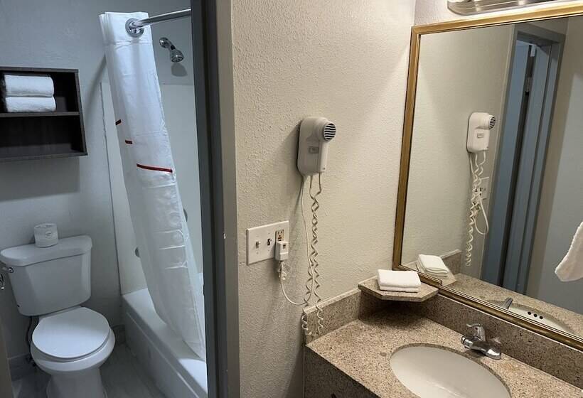 Superior Kamer, Red Roof Inn Auburn Hills