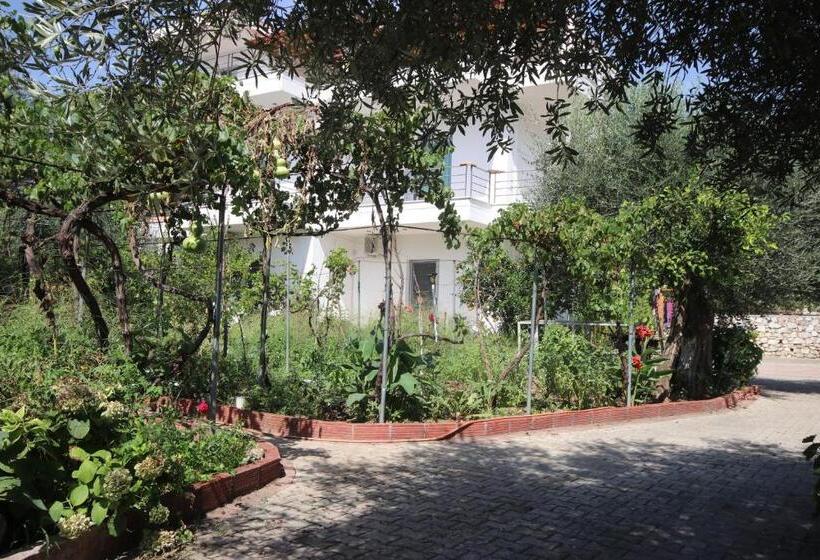 חדר סטנדרט, Mato Rooms