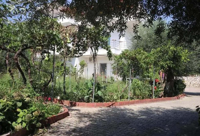 اتاق استاندارد, Mato Rooms