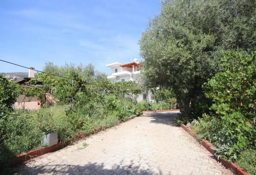 اتاق استاندارد, Mato Rooms