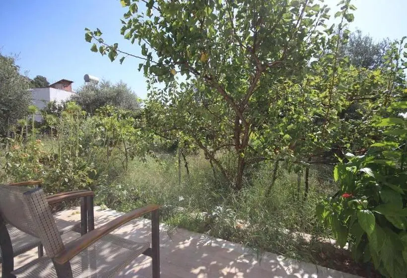اتاق استاندارد, Mato Rooms