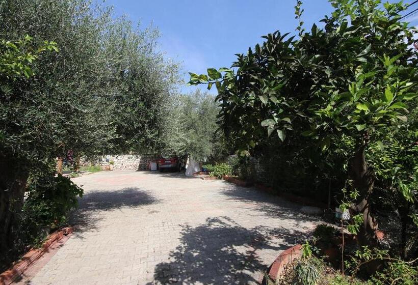 חדר סטנדרט, Mato Rooms