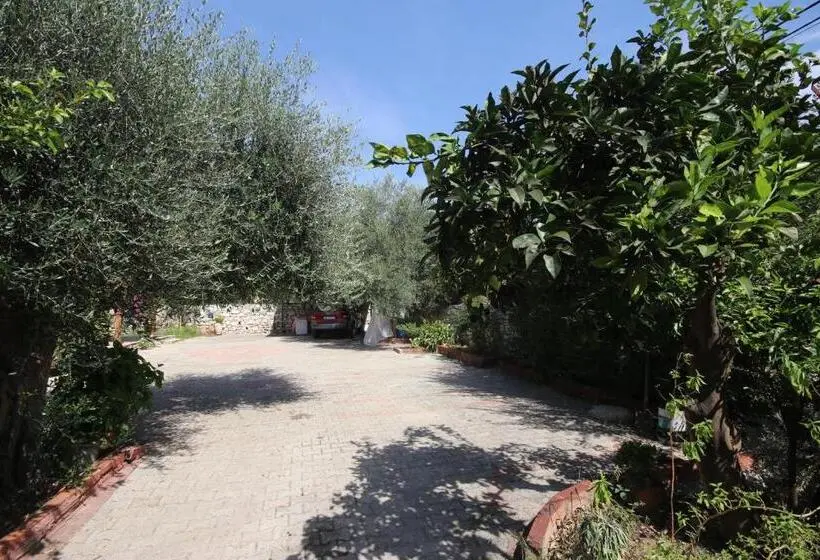 اتاق استاندارد, Mato Rooms