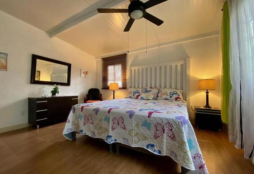 스탠다드 룸, Aeolus Guest House