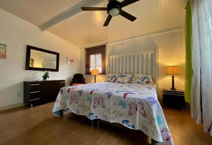 Standard-huone, Aeolus Guest House