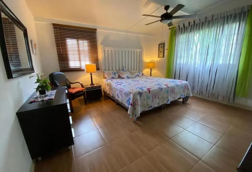 Standard-huone, Aeolus Guest House