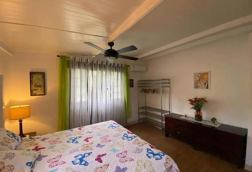 Standard-huone, Aeolus Guest House