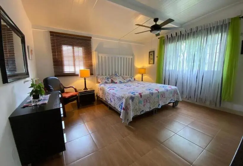 Standard-huone, Aeolus Guest House