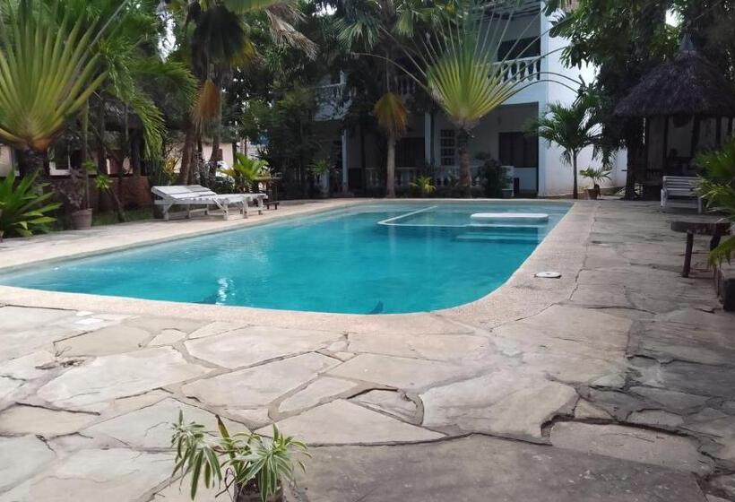 استودیوی لوکس, Seaesta Studio Diani