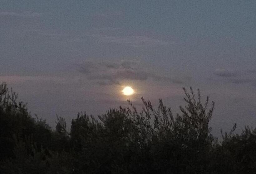 Номер Стандарт Трехместный, Hendoku Yaku