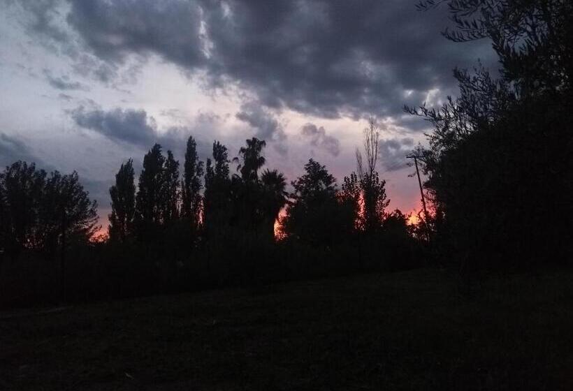 Номер Стандарт Трехместный, Hendoku Yaku