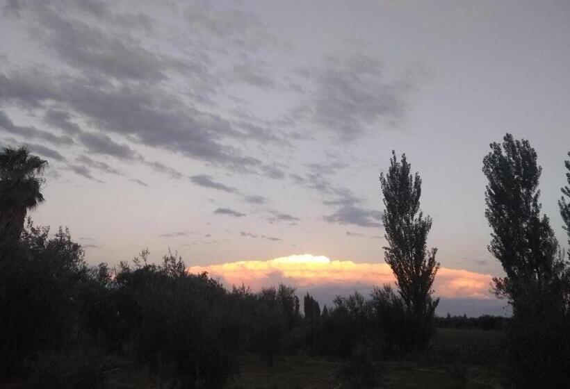 Номер Стандарт Трехместный, Hendoku Yaku