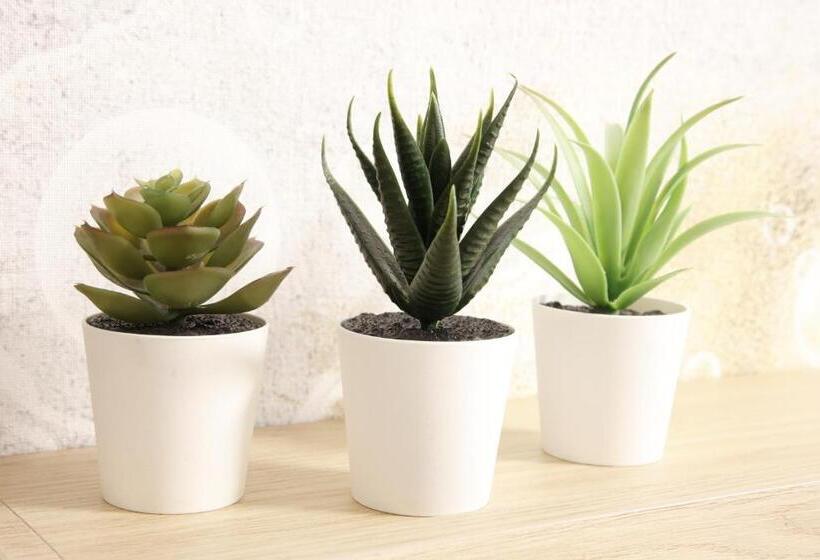 اتاق استاندارد سه نفره, Floramare Health Resort