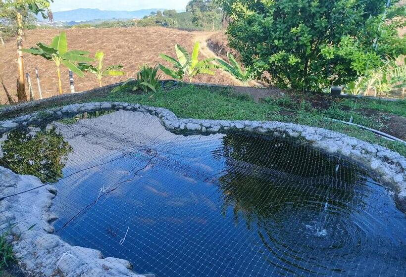 带花园景观的标准工作室, Rancho El Vergel