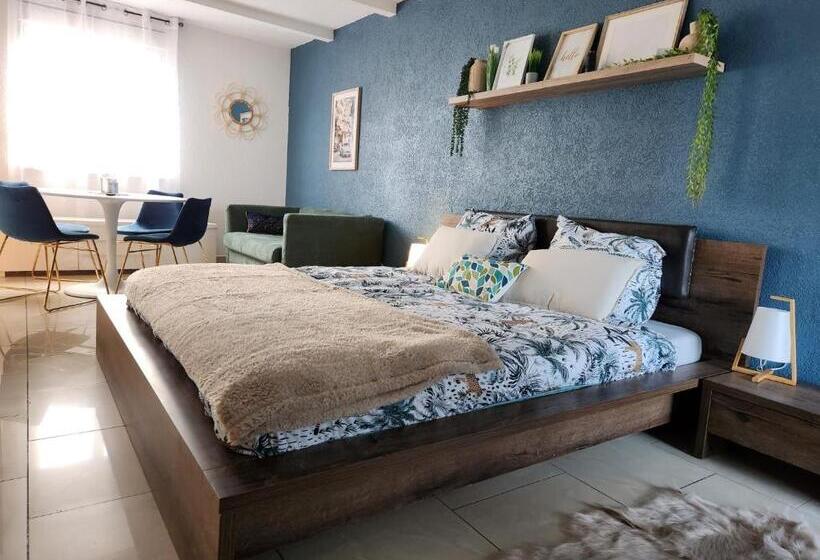 豪华房间, Suite 2 Lits Auberge Du Manala Hôtel 24 24 Proche Basel
