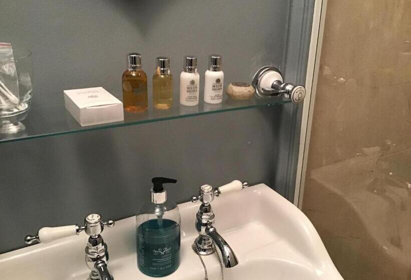 غرفة ديلوكس, Ten Beacon Hill