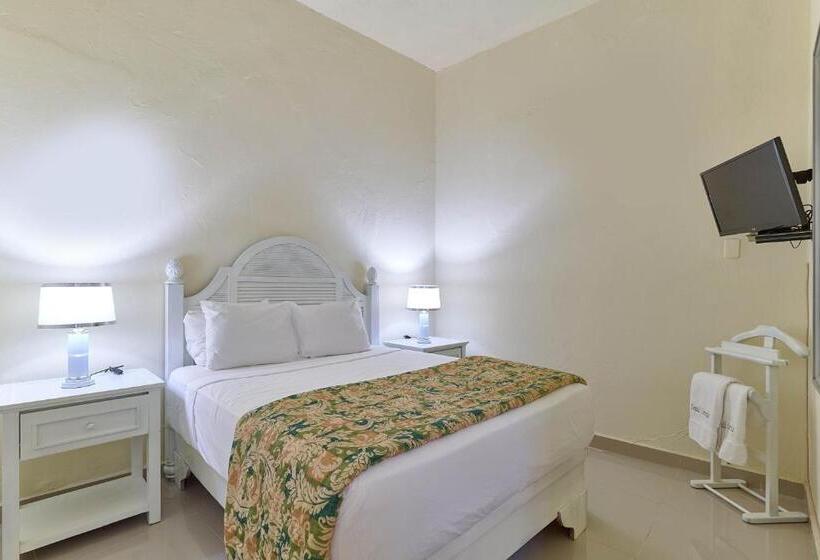 اتاق لوکس, D Cornelio