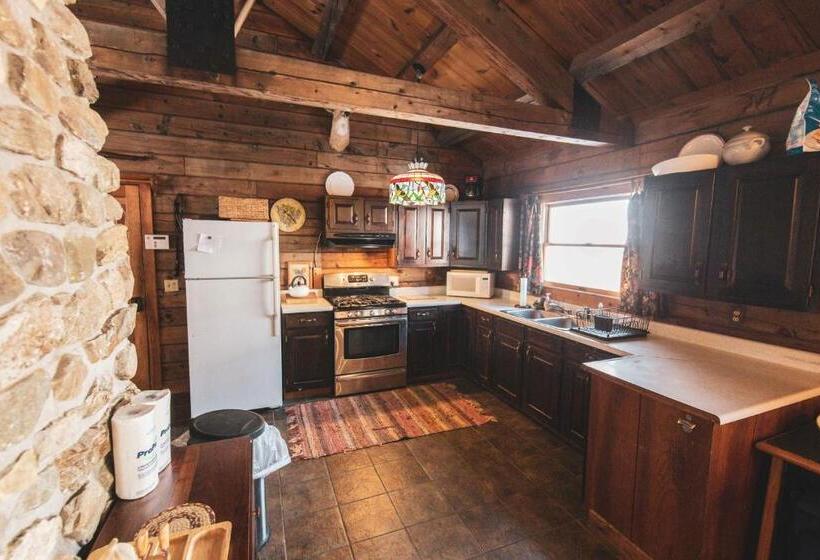 带1个卧室的豪华公寓, Ogontz Rustic Resort