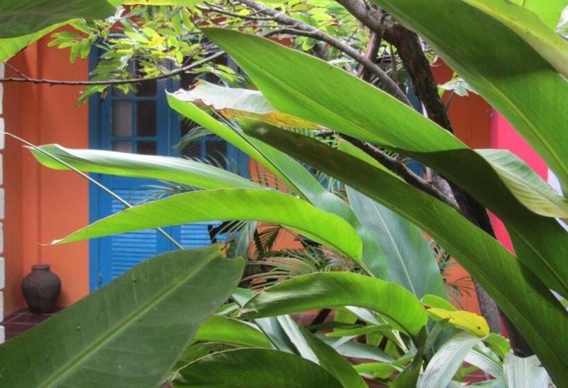 חדר סטנדרט, A Casa Do Vizinho