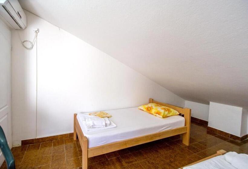 استودیوی استاندارد, Guest House Lotos