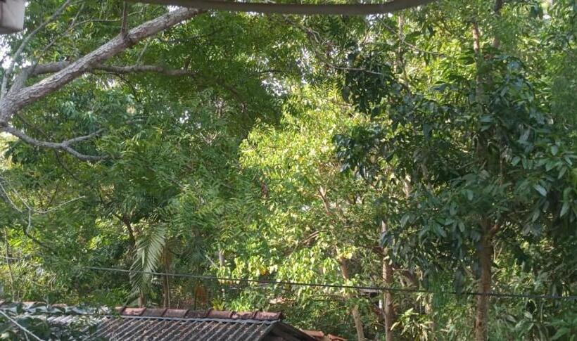 带阳台的豪华间, Sujith Guesthouse