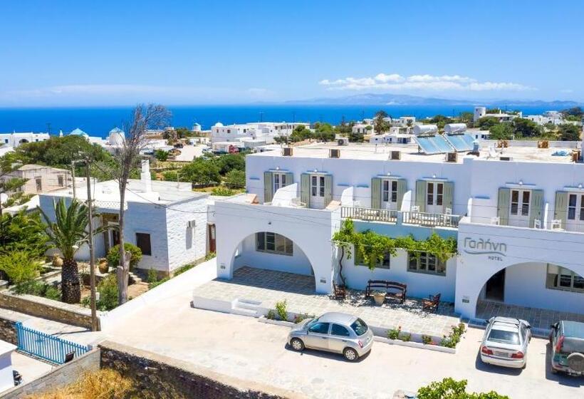 חדר אקונומי, Galini Sifnos