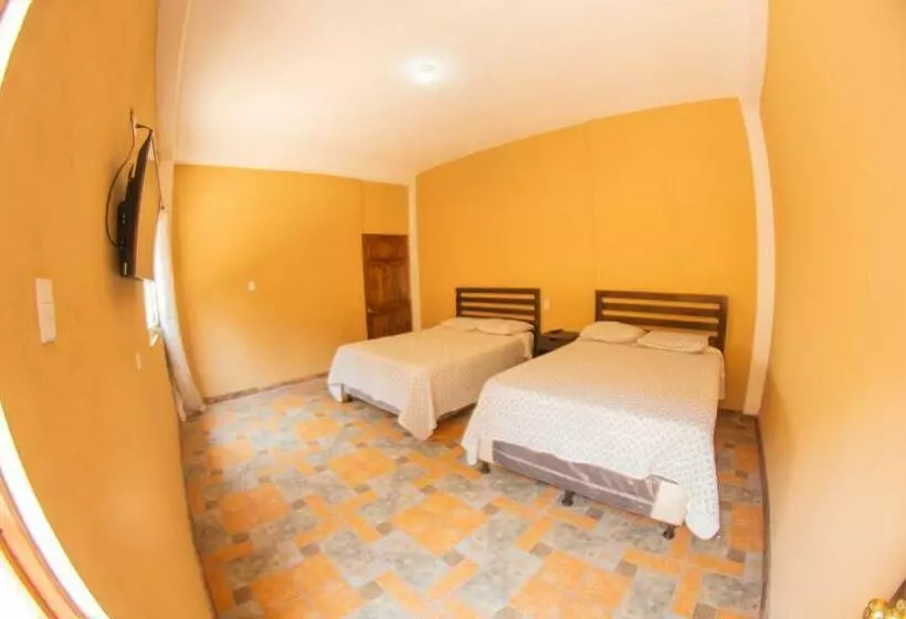 اتاق استاندارد, Euro Hostal