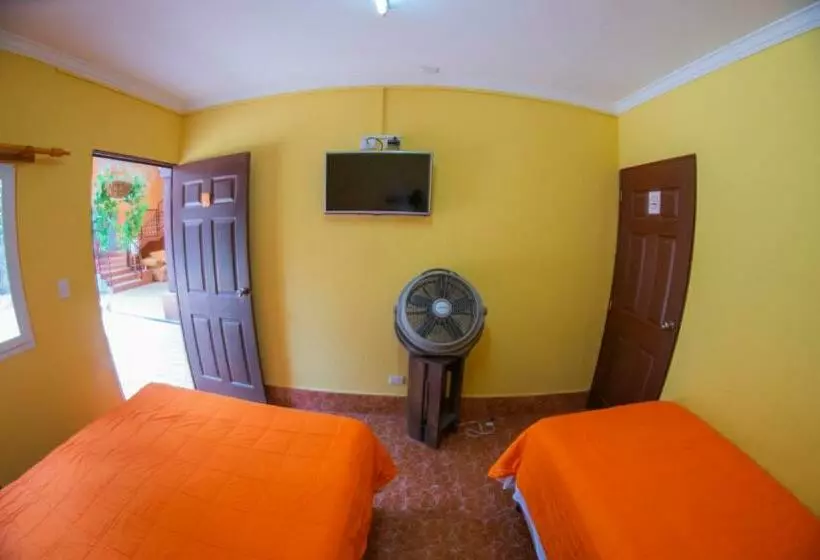 اتاق استاندارد, Euro Hostal