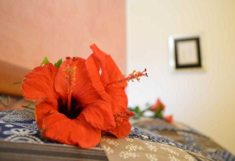 高级套房带海景, Mar Dei Poeti   Luxury Suites