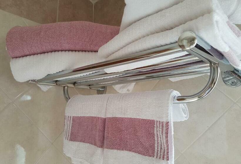 이코노미 싱글 룸, Joy