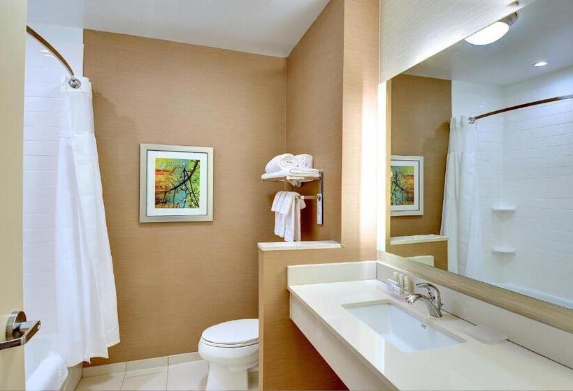 غرفة قياسية, Fairfield Inn & Suites By Marriott Nashville Downtown Metrocenter