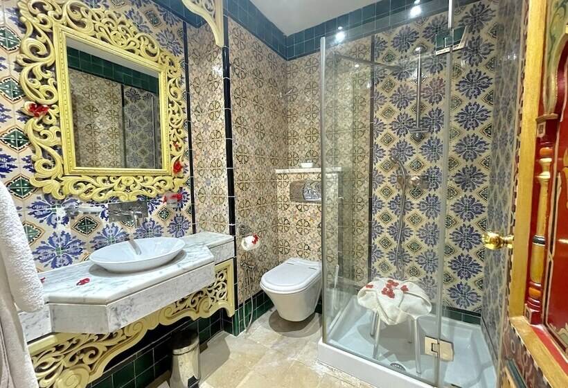 اتاق استاندارد یک نفره, Royal Victoria   Ex British Embassy