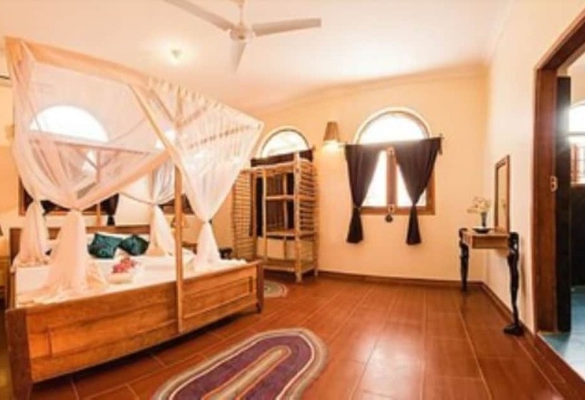 Номер Стандарт, Zan View