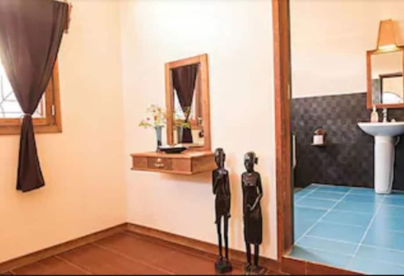 Номер Стандарт, Zan View