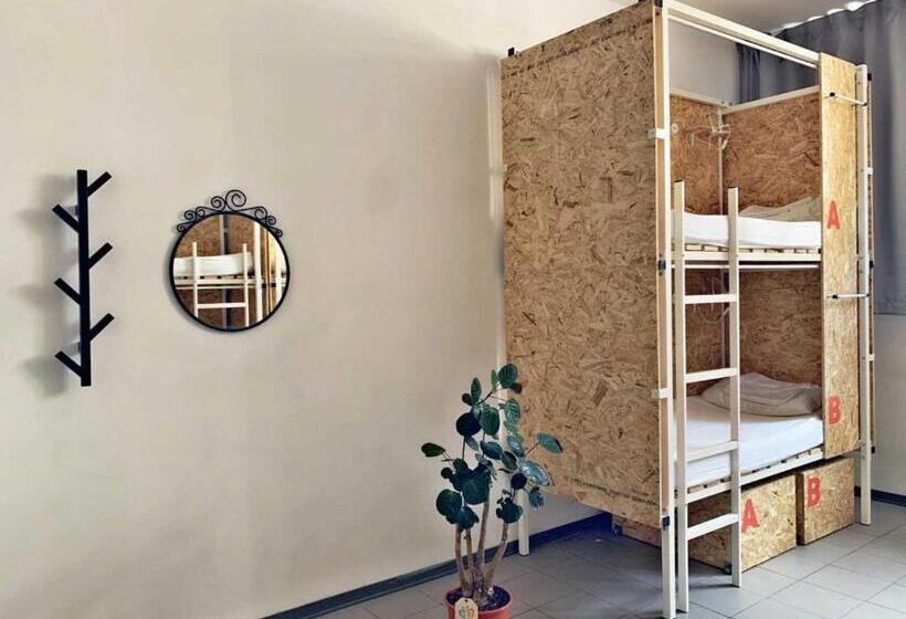 Bed in Shared Room with Shared Bathroom, Mio Hostel